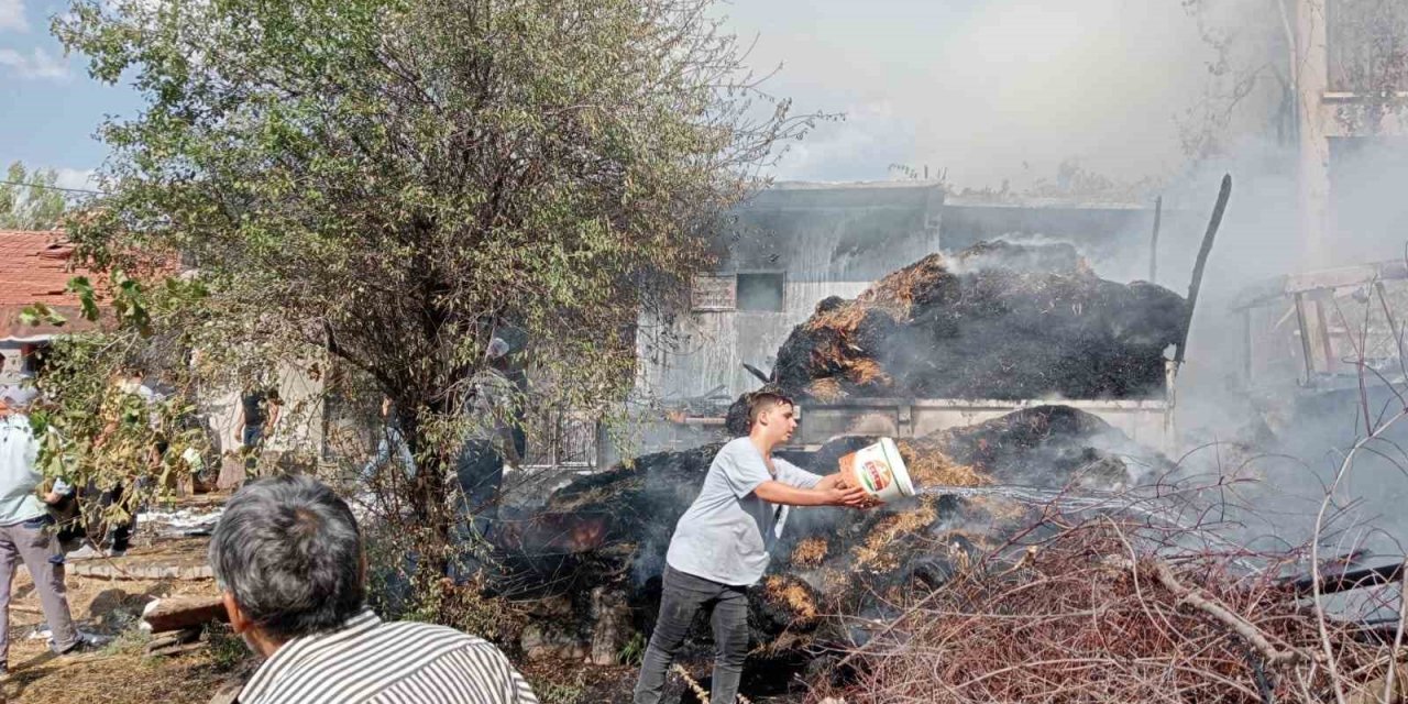 Meydana Gelen Yangında , Hayvanlar Telef Oldu