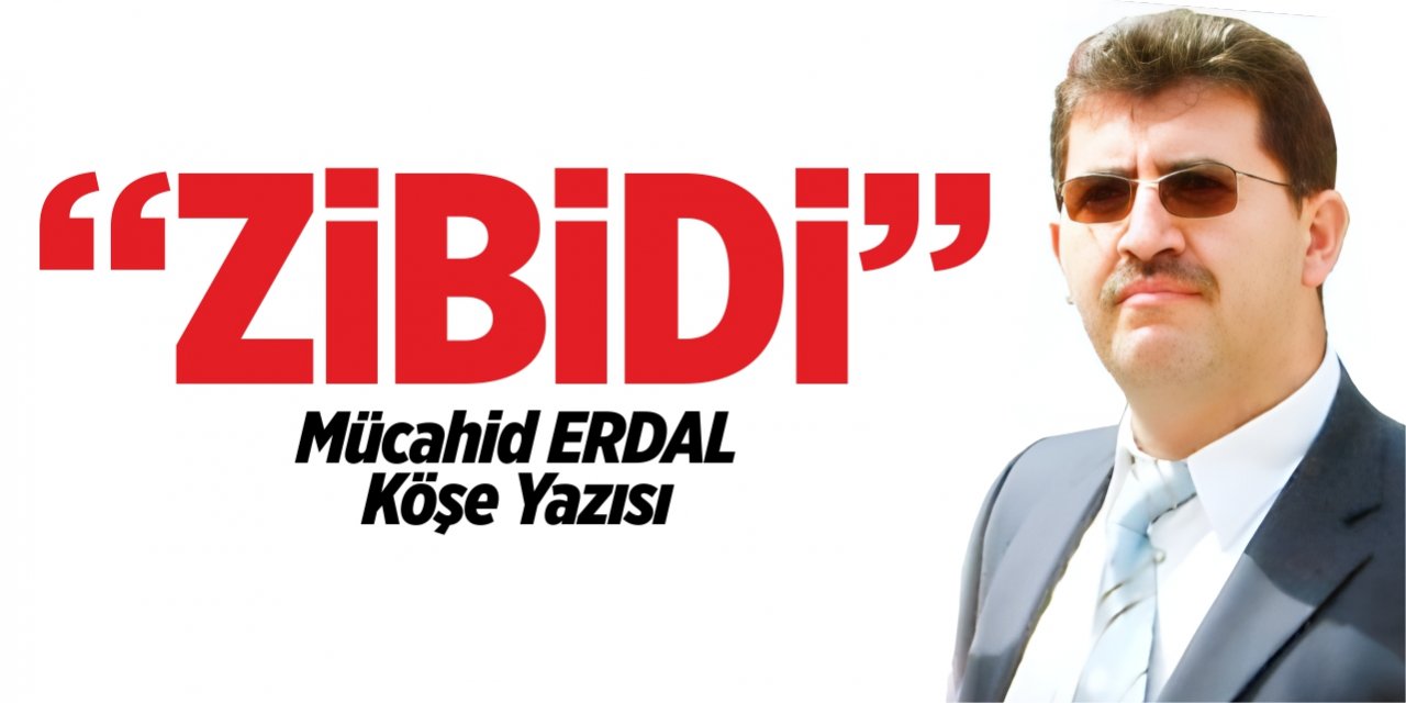 “ZİBİDİ”