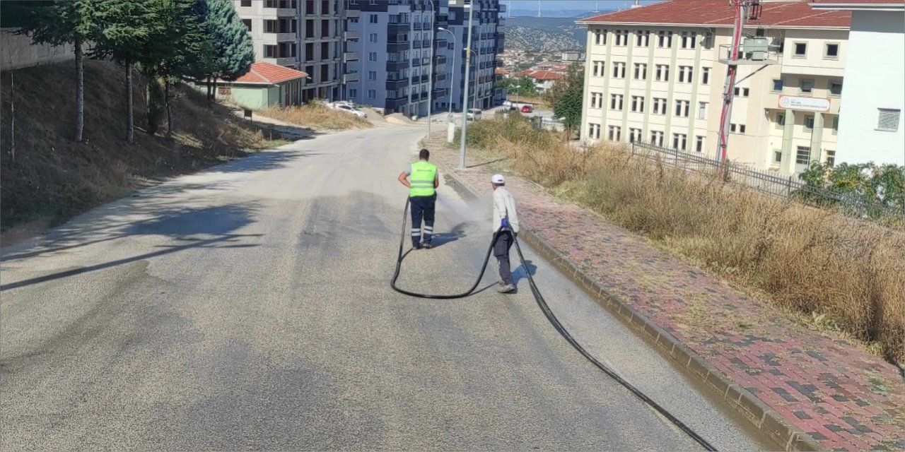 Okul bahçelerinde temizlik yapıldı