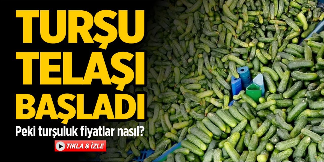 Bilecik'te turşu telaşı başladı