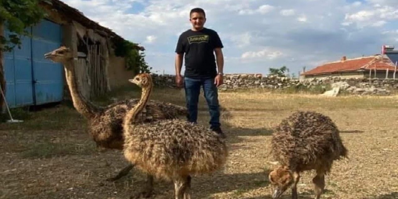 1 Haftadır Kayıp Olan Deve Kuşunu Yakalayamayınca Vurdurup Etini Dağıttı