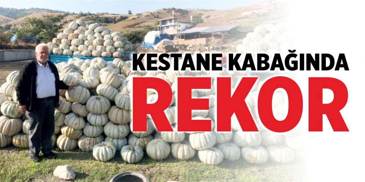 'Kestane Kabağı'nda rekor