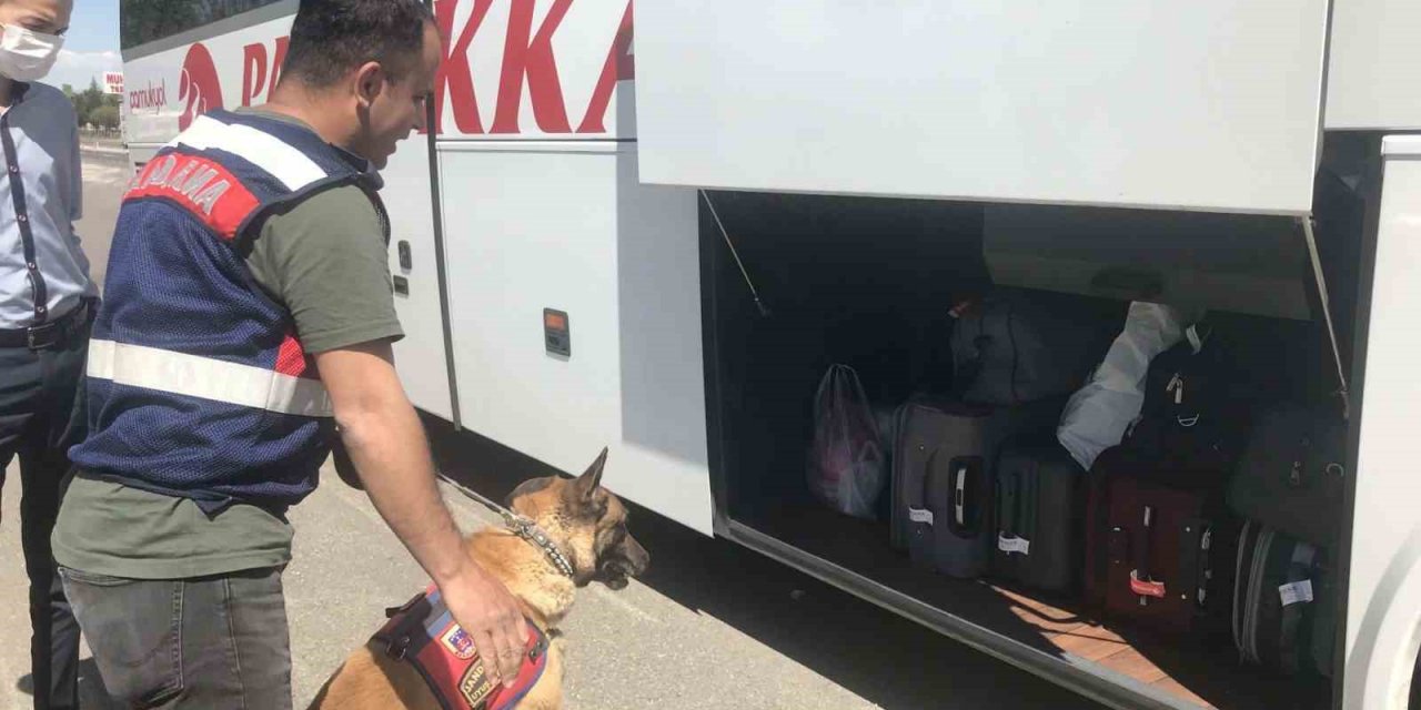 42 Düzensiz Göçmene 488 Bin Tl Ceza Yazıldı