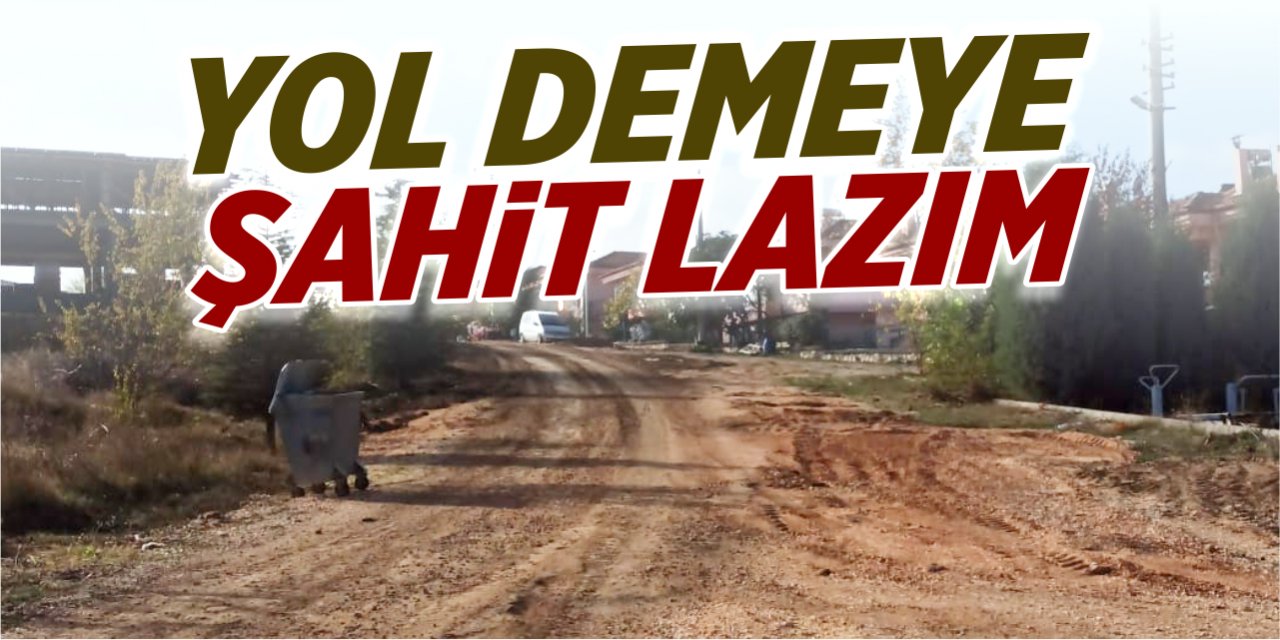 Yol demeye şahit lazım!