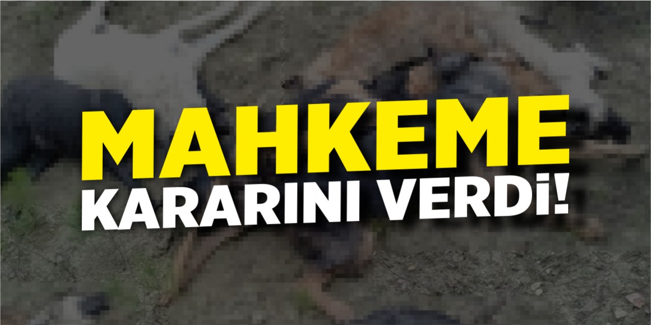 Mahkeme kararını verdi!