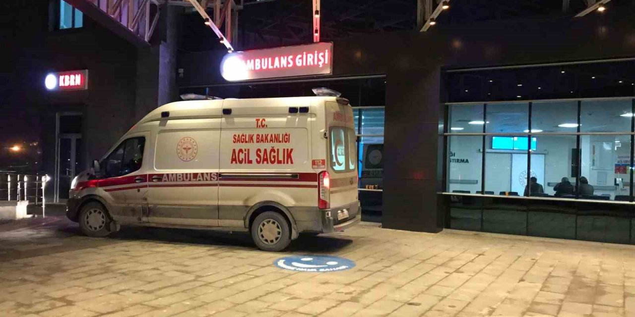 Bilecik’te Üst Geçidi Kullanmayan Yayaya Otomobil Çarptı