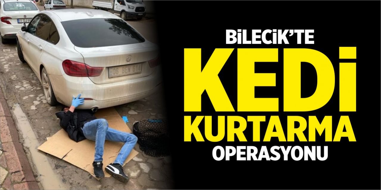 Bilecik'te kedi kurtarma operasyonu!