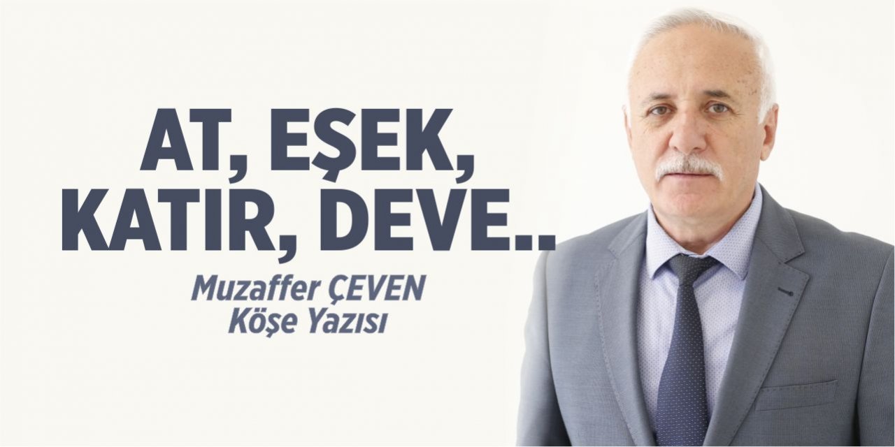 AT, EŞEK, KATIR, DEVE...