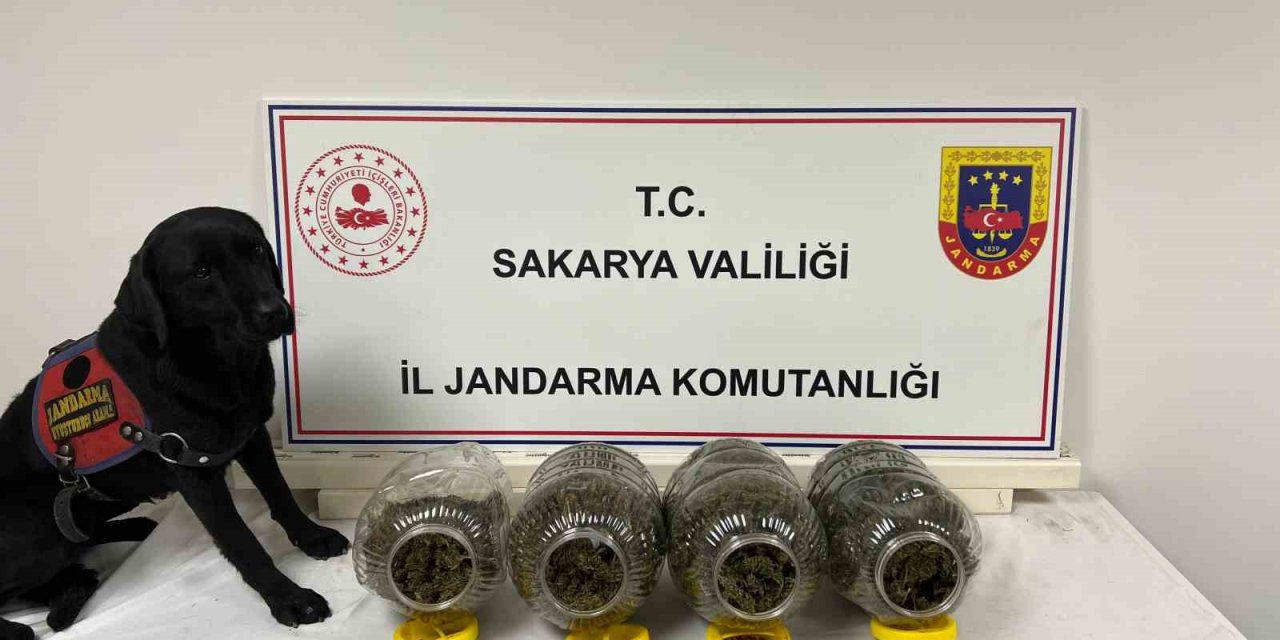 Jandarma Suça Geçit Vermiyor: 6 Tutuklama