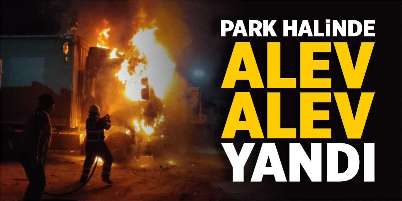 Park halinde alev alev yandı