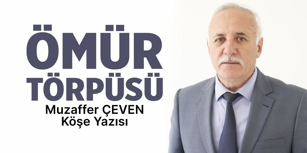 ÖMÜR TÖRPÜSÜ