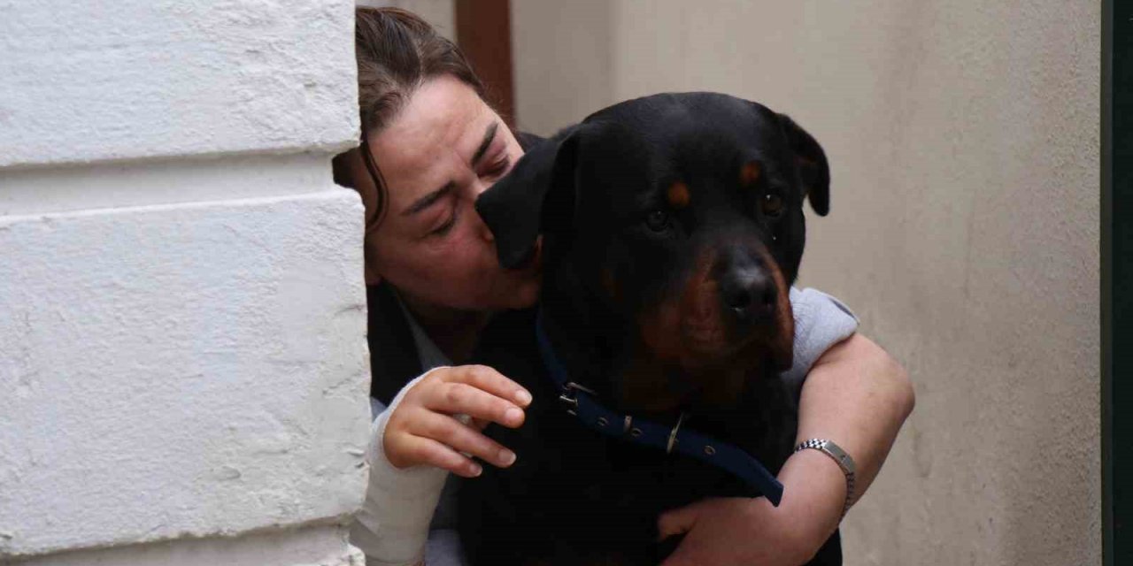 Beslediği Köpeğin Aynı Cinsi Tarafından Sokakta Saldırıya Uğradı, Dehşet Anlarını Böyle Anlattı