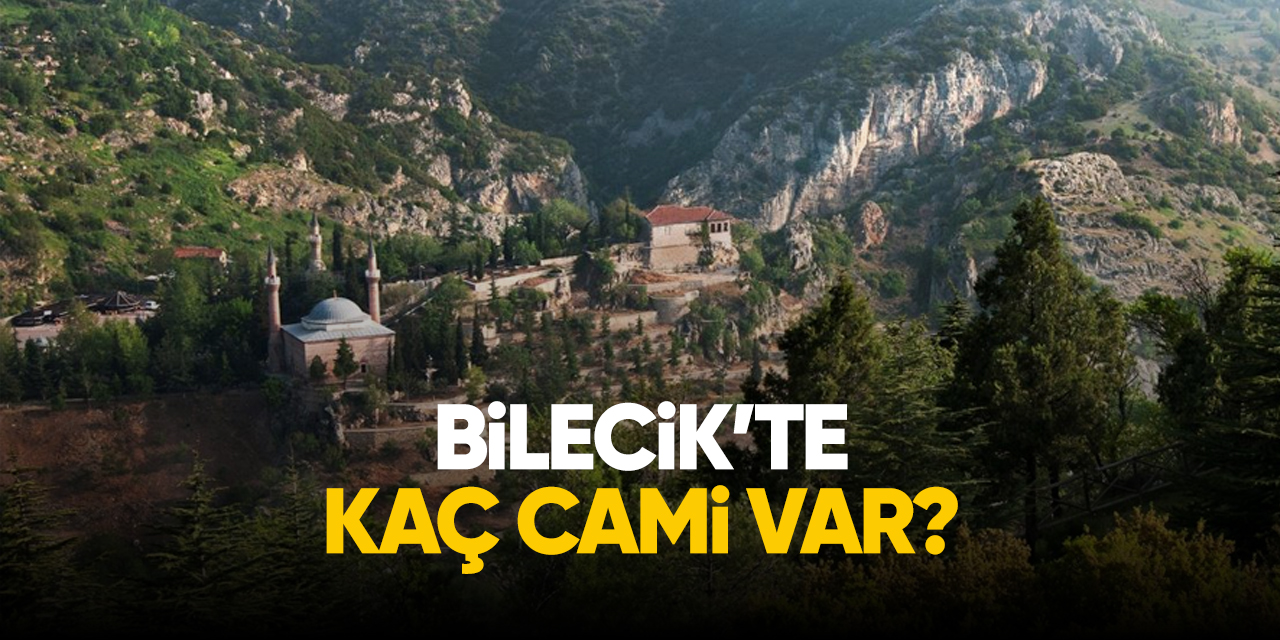 Bilecik'te kaç cami var?