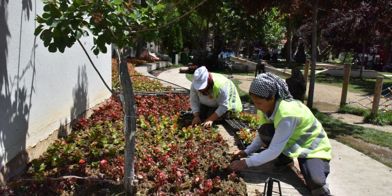 Serada yetişen bitkiler Bilecik’i güzelleştiriyor