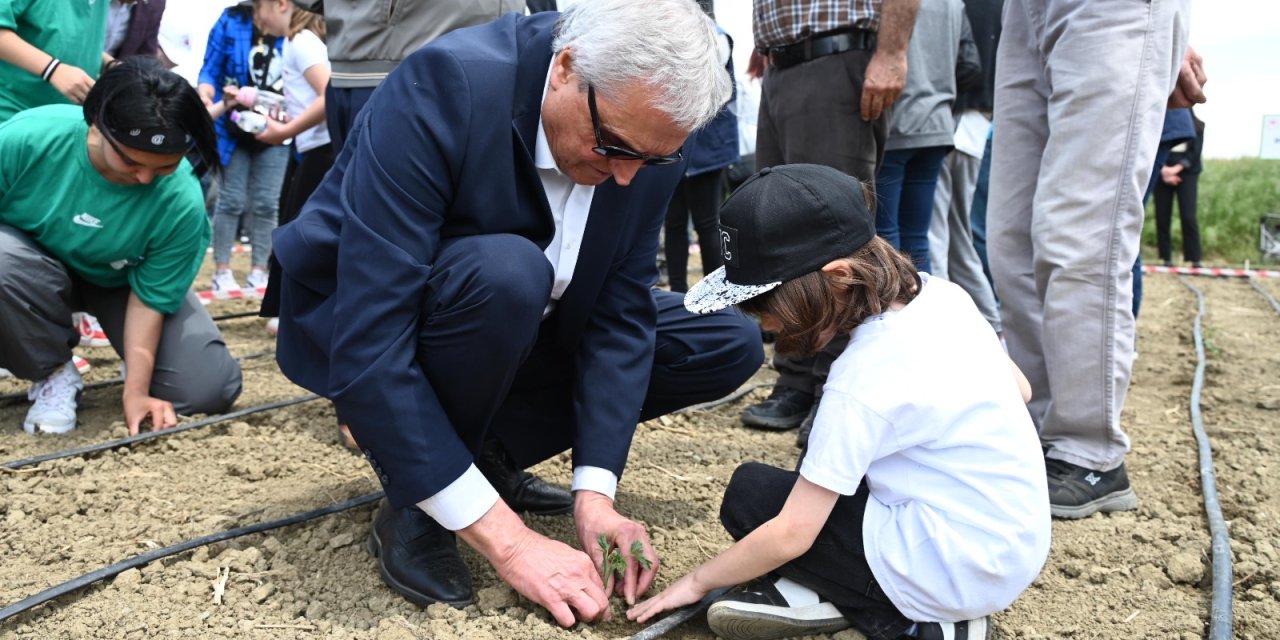 Sebze ve Meyve Fideleri Toprakla Buluştu