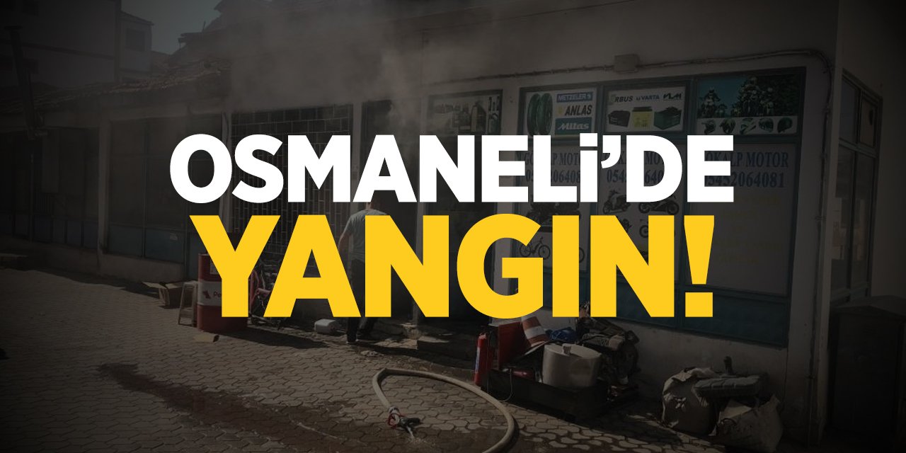 Osmaneli'de Yangın!