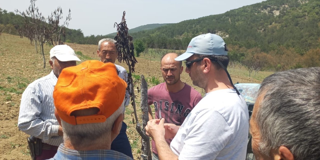 Çiftçilere Eğitim Toplantısı