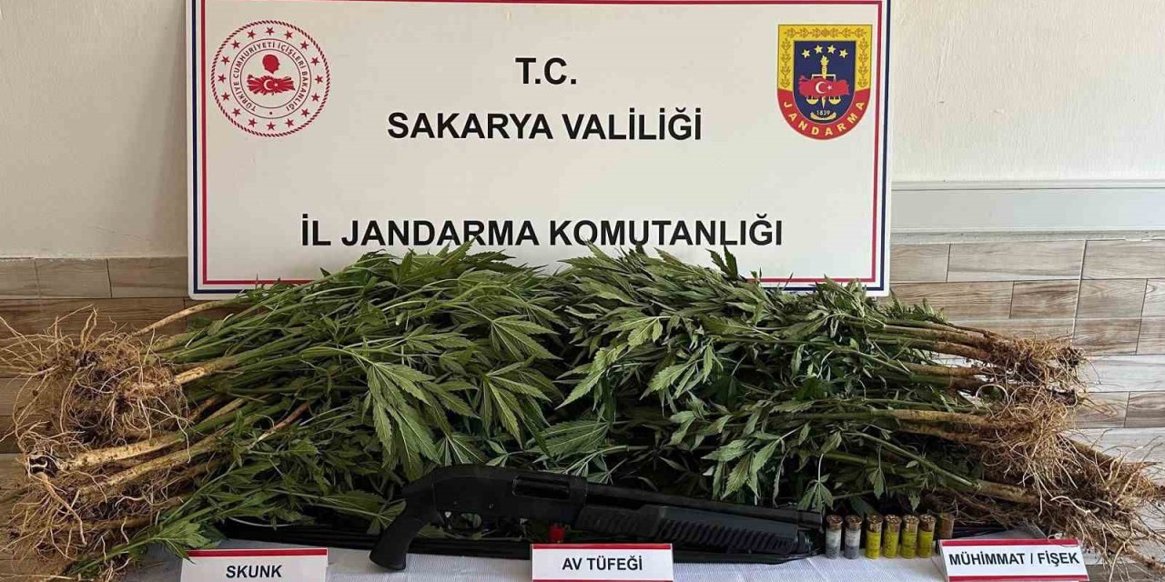 Jandarma Uyuşturucuya Geçit Vermiyor