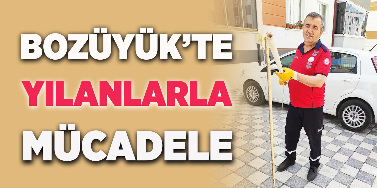 Bozüyük'te Yılanlarla Mücadele