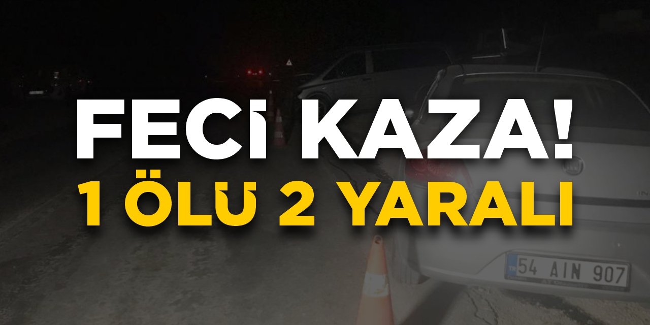 Bilecik'te feci kaza: 1 ölü 2 yaralı!