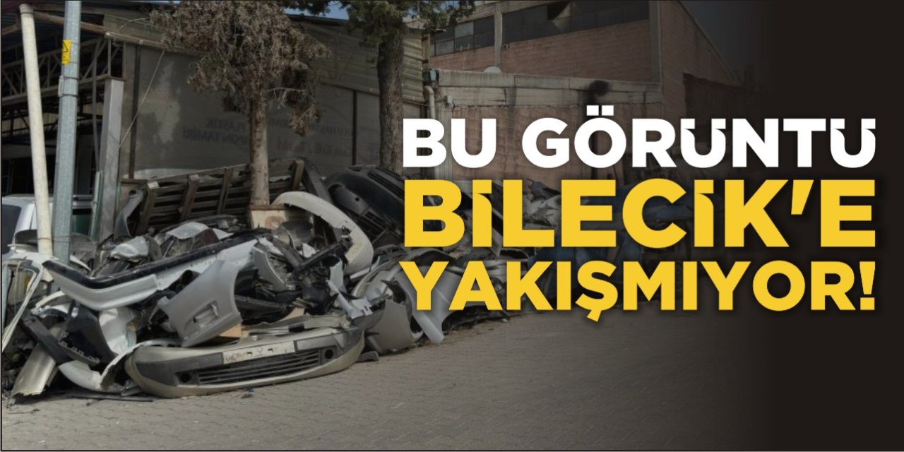 Bu Görüntü Bilecik’e Yakışmıyor!