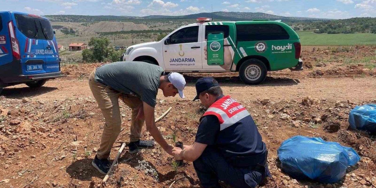 Ekiplerden Çevre Haftası Faaliyetleri