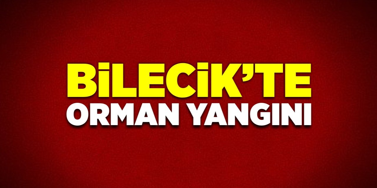 Bilecik'te orman yangını!