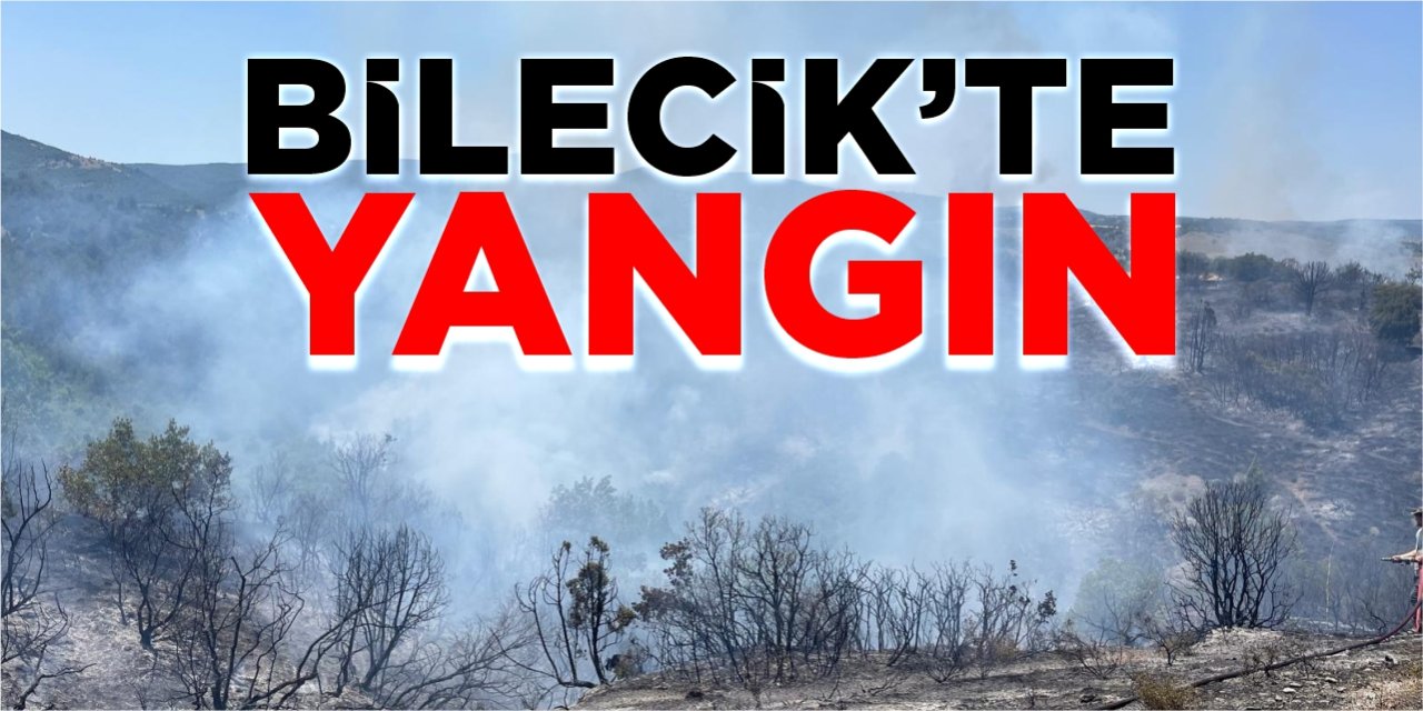 Bilecik'te yangın!