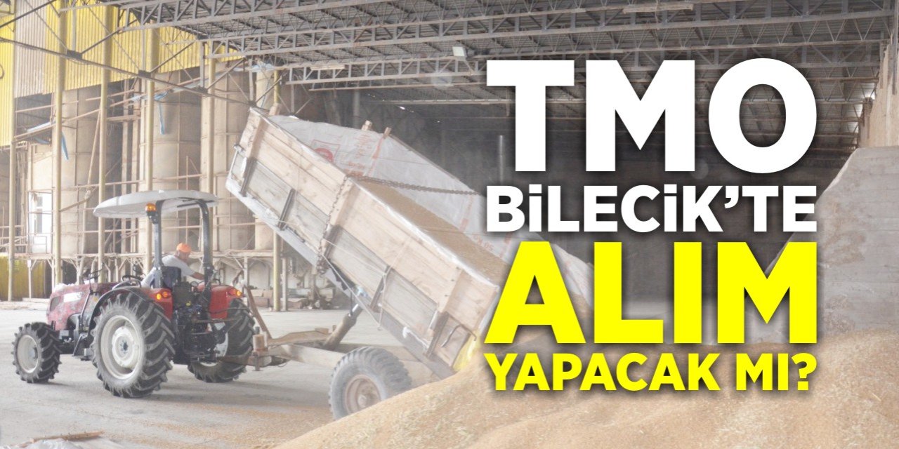 TMO Bilecik'te alım yapacak mı?