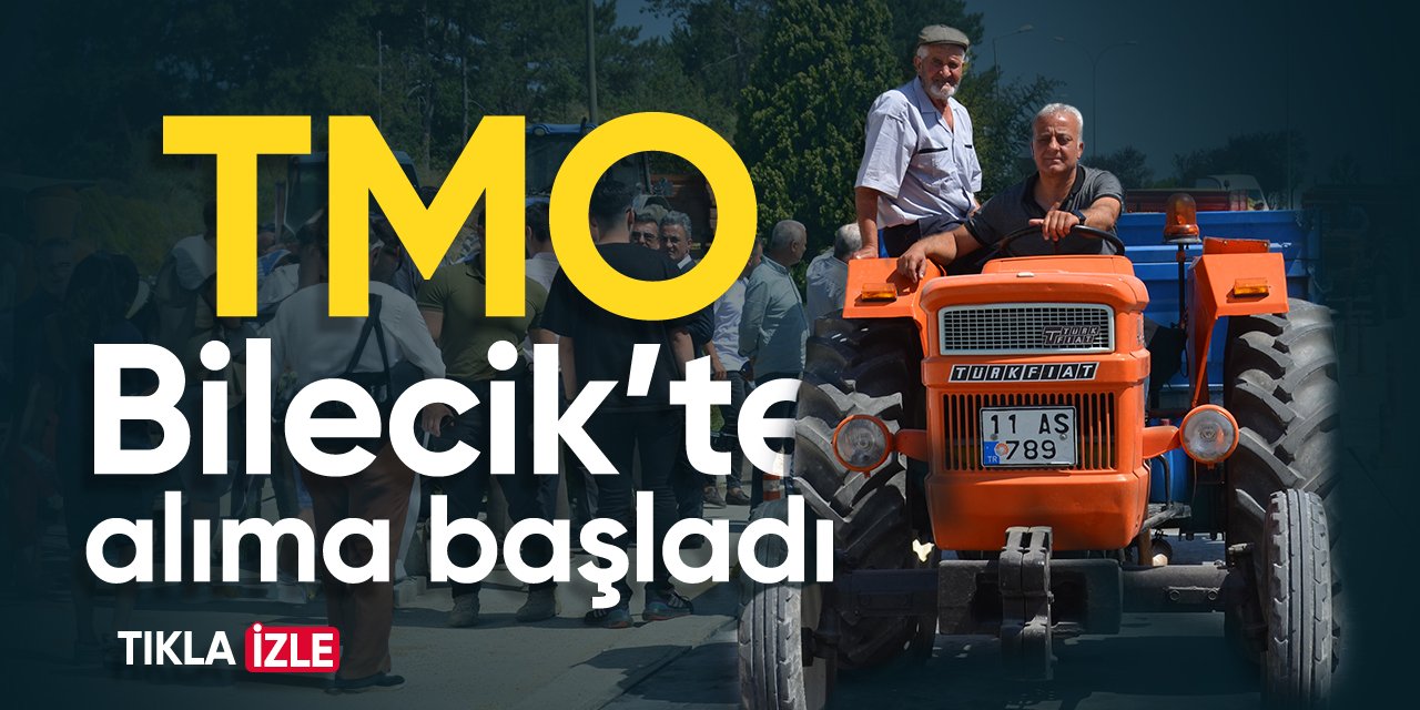 TMO Bilecik’te alıma başladı