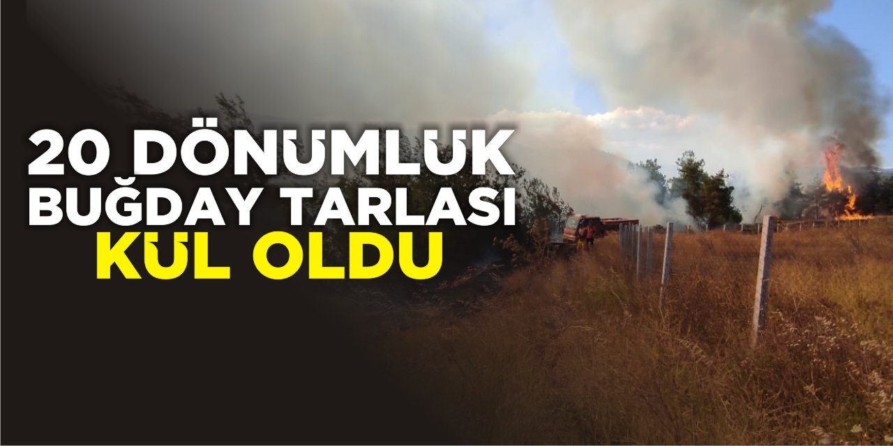 20 Dönümlük Buğday Tarlası Kül Oldu