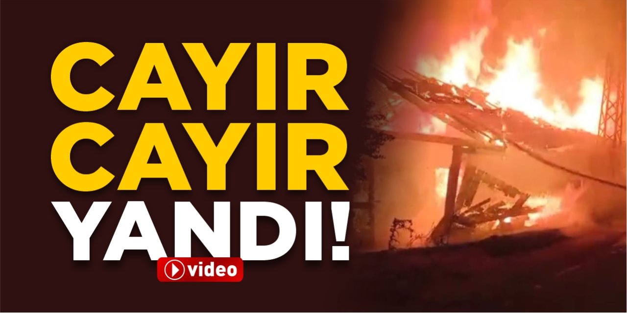 Cayır cayır yandı!