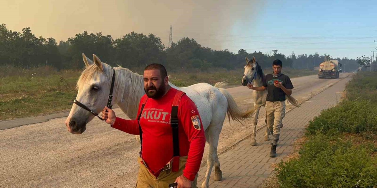 Çıkan Yangında Atlar Tahliye Edildi