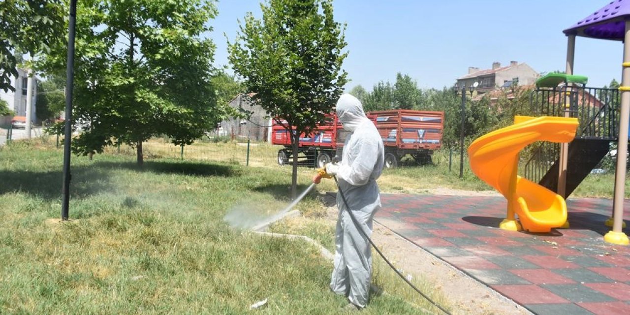 Havaların Isınmasıyla İlaçlama Çalışmalarına Hız Verildi