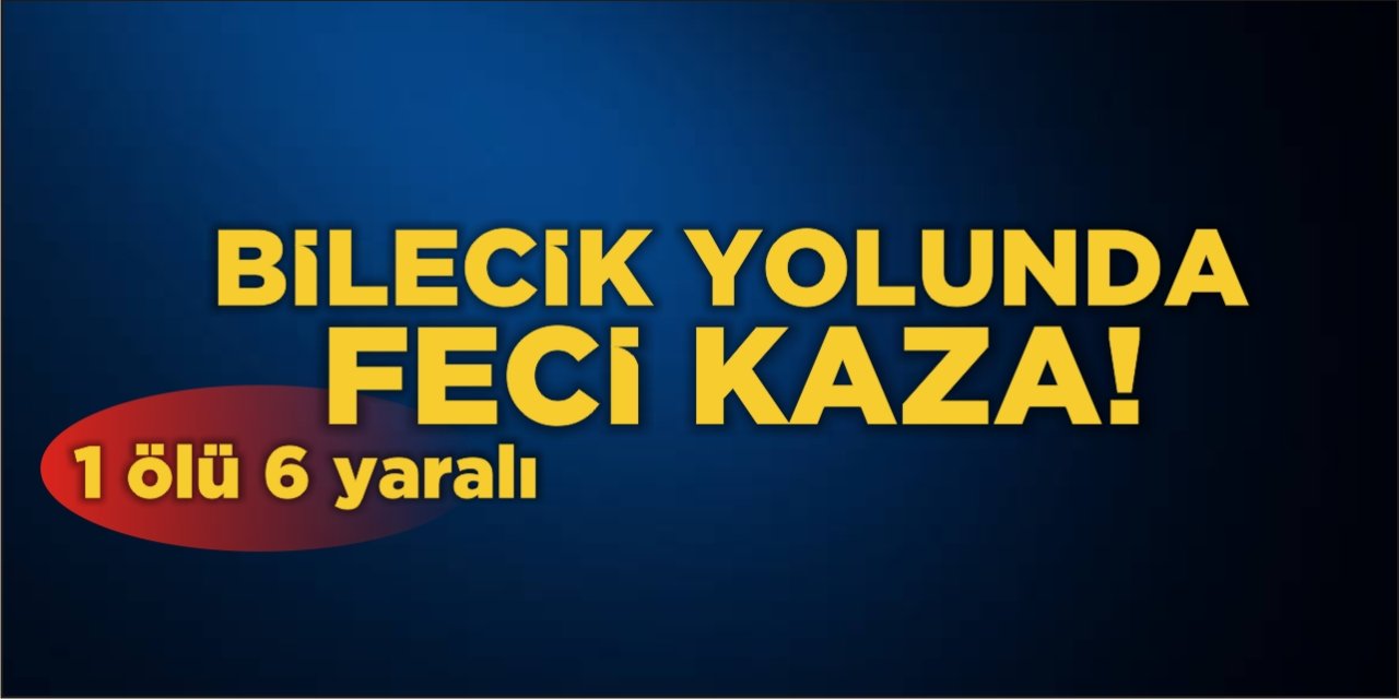 Bilecik Yolunda Feci Kaza: 1 ölü 6 yaralı