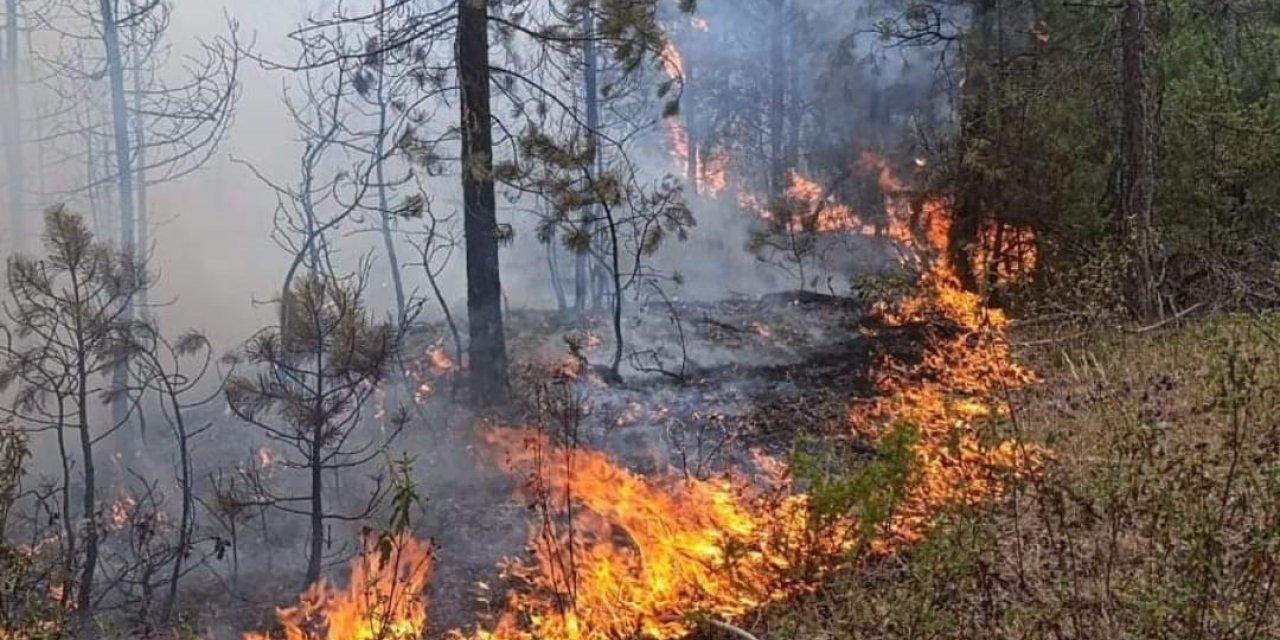 Orman Yangını Korkuttu