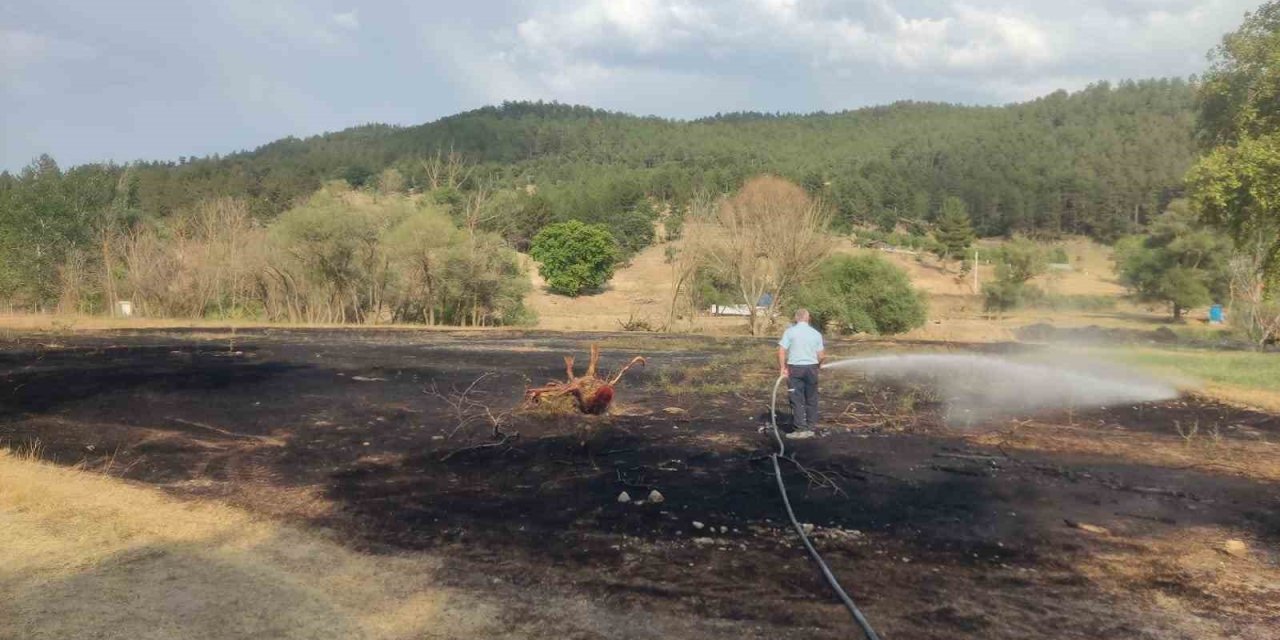 Mangal Ateşinden Çıkan Yangından 2 Dönüm Ekili Alan Zarar Gördü