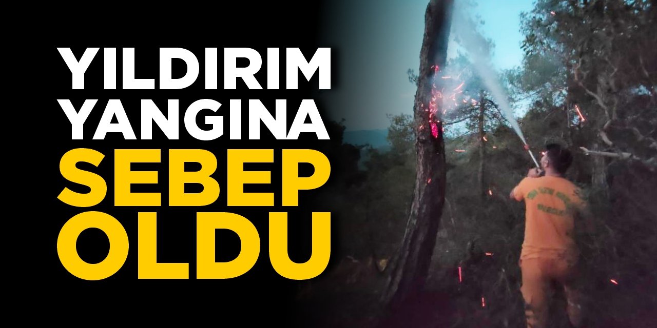 Yıldırım yangına sebep oldu