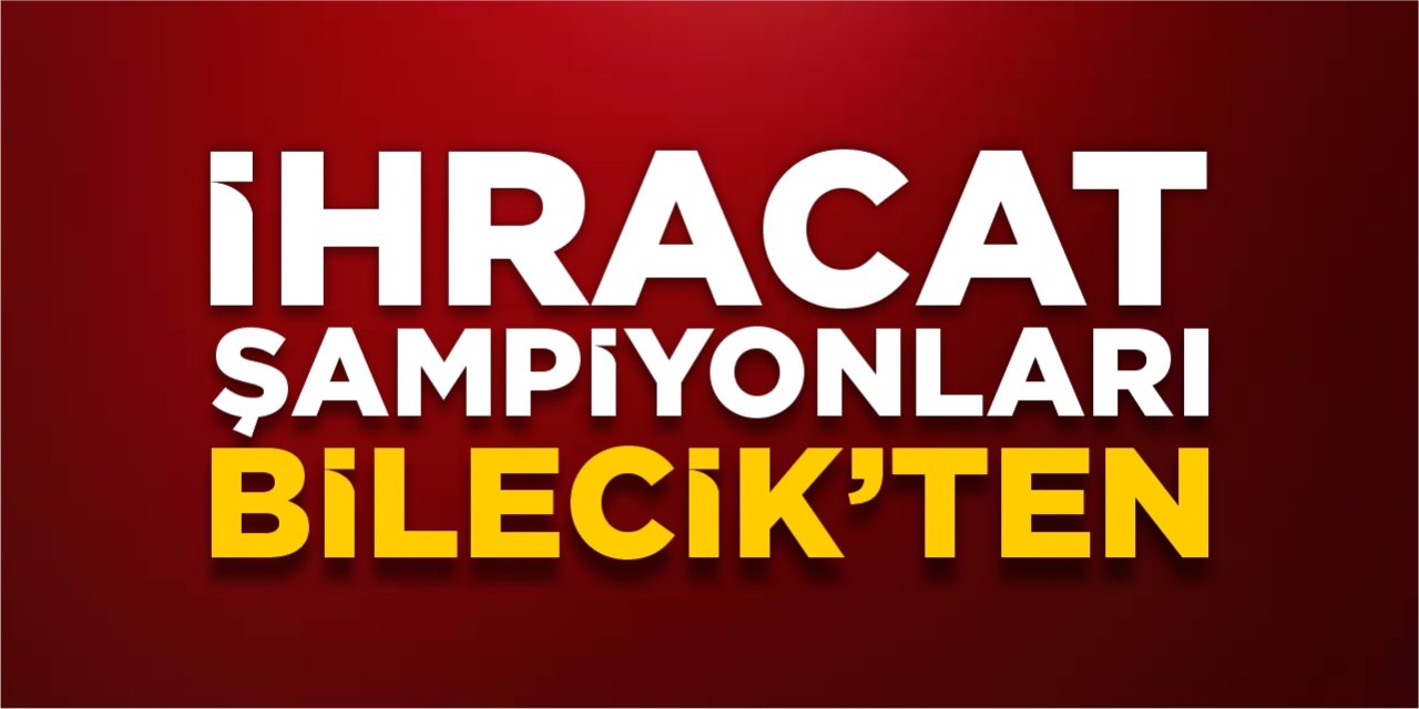 İhracat şampiyonları Bilecik'ten