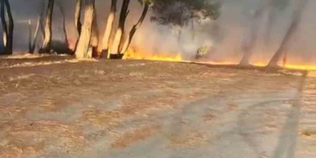 Piknik Alanında Çıkan Yangın Ormana Sıçramadan Söndürüldü