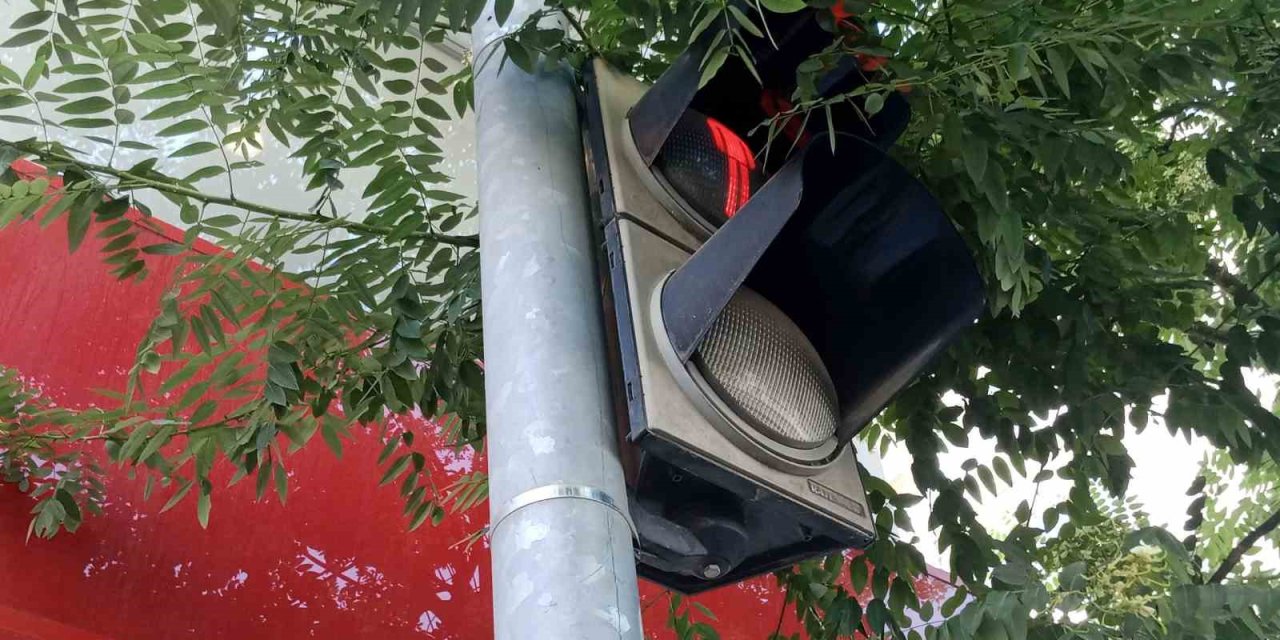 Uzayan Ağaç Dalları Trafik Lambasının Önünü Kapattı