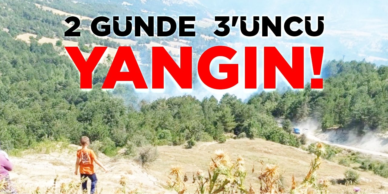 2 günde 3'üncü orman yangını