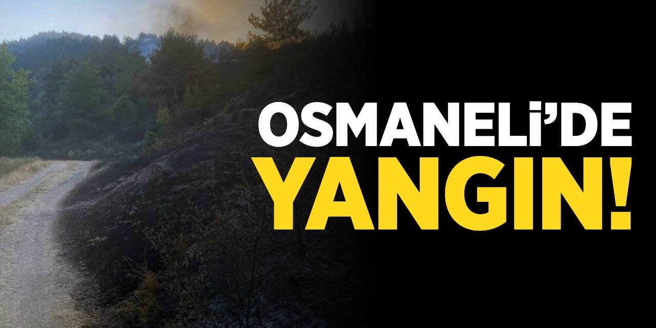 Osmaneli'de Yangın!