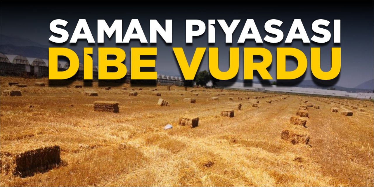 Saman piyasası dibe vurdu!