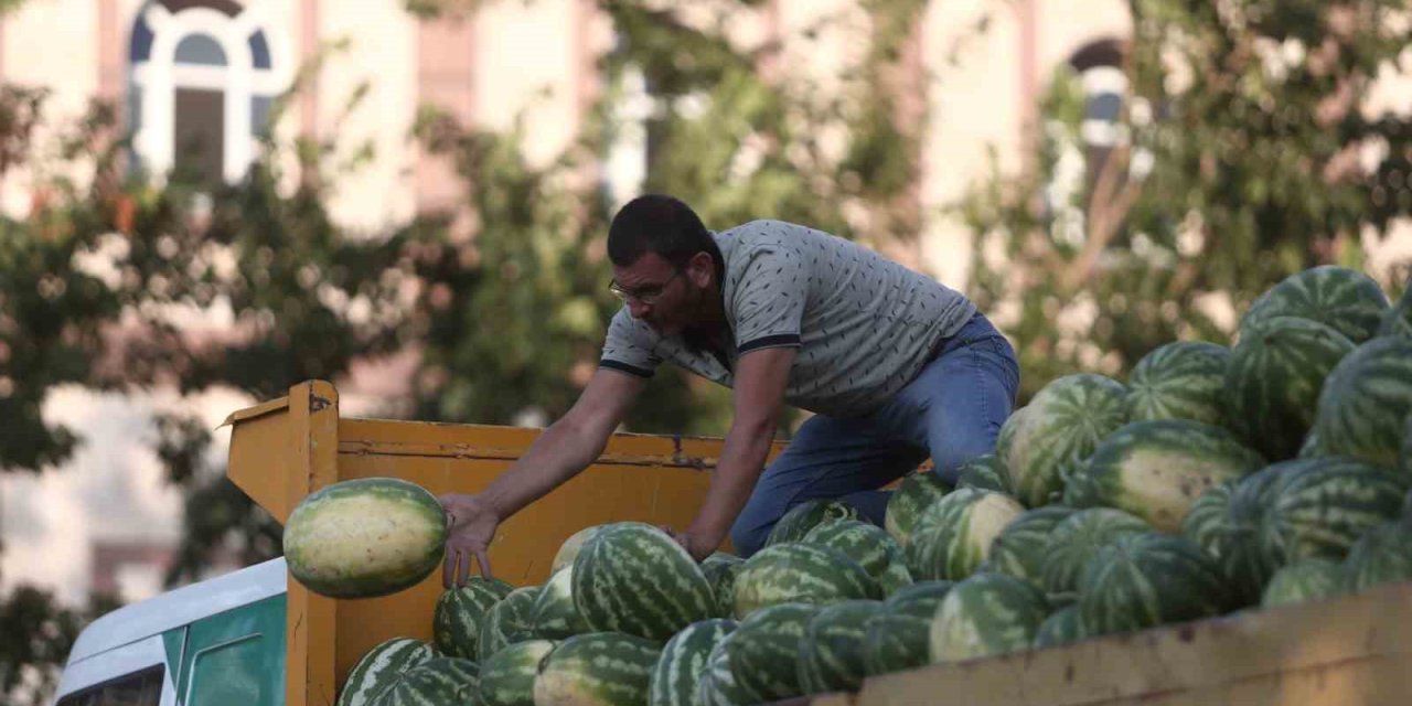 Tarlada Kalan Karpuz, Vatandaşlara Ücretsiz Dağıtıldı