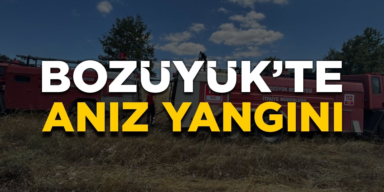 Bozüyük'te anız yangını