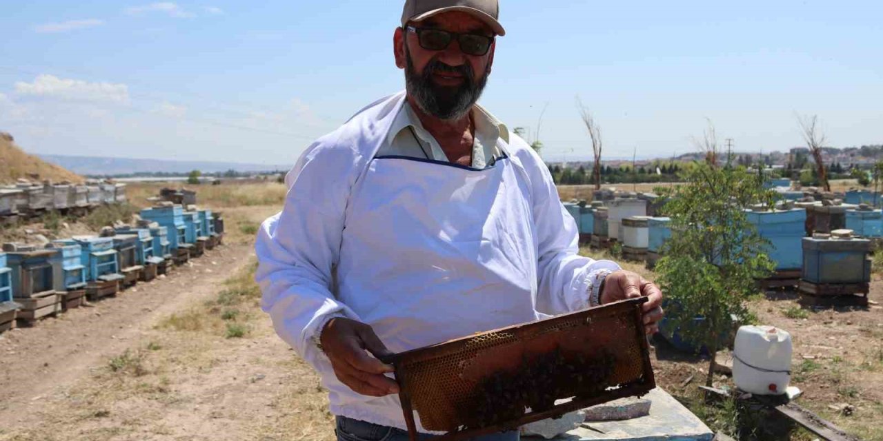 Eskişehirli Arıcılar Daha Fazla Destek Bekliyor