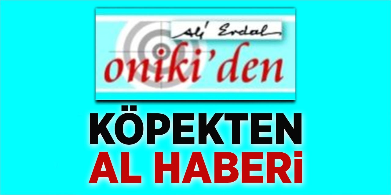 KÖPEKTEN AL HABERİ