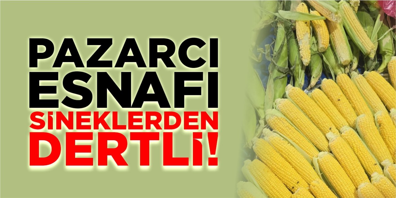 Pazarcı esnafı sineklerden dertli!