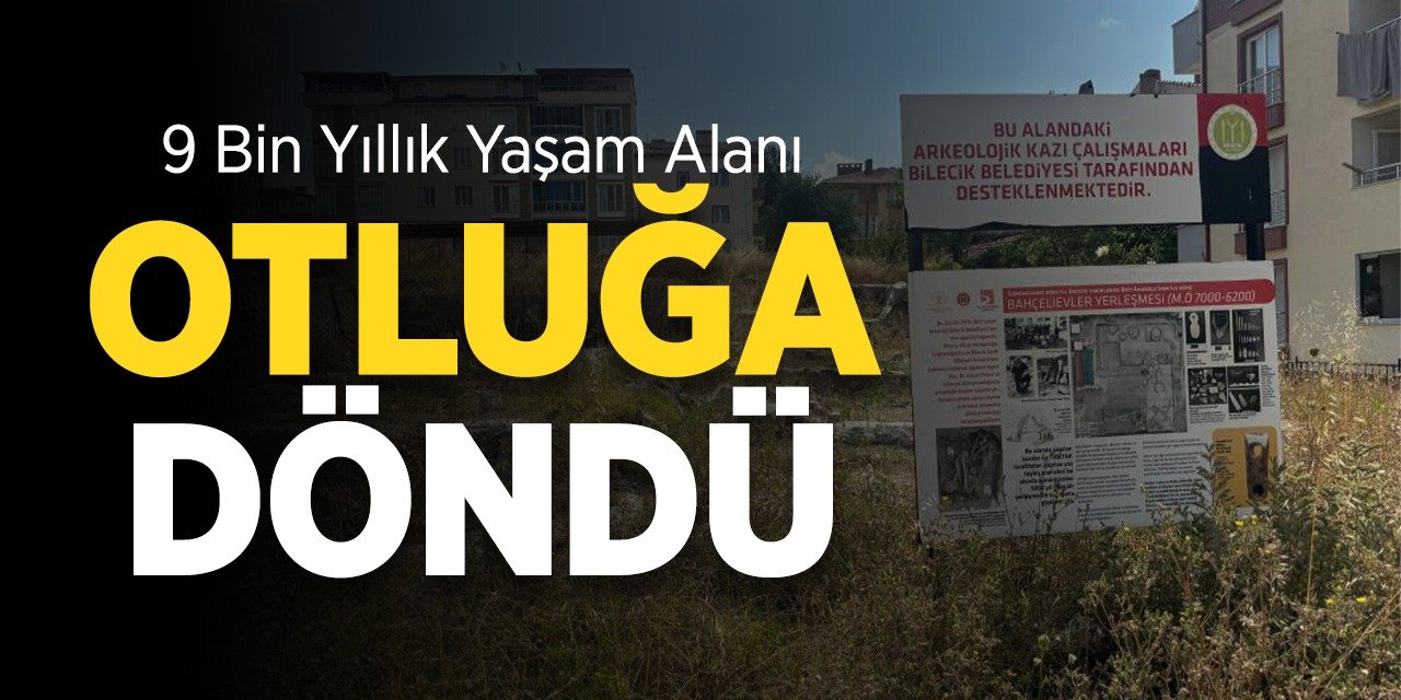 9 Bin Yıllık Yaşam Alanı Otluğa Döndü